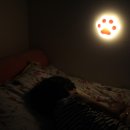 냥냥하우스 이미지