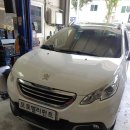 오토엘리펀트 이미지