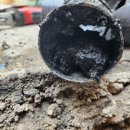 회정범양1차 이미지