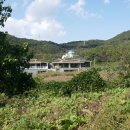 지산2리 Daum카페