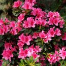 종암중앙어린이집 이미지