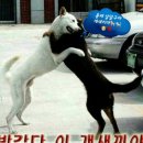 복 - 동구 부산진성공원로 24 | 복