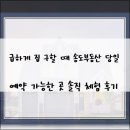 송도대박부동산중개사무소 | 급하게 집 구할 때 송도부동산 당일 예약 가능한 곳 솔직 체험 후기