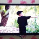 감을아는여자