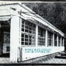 사라진 용계국민학교-마지막길안초등(용계분교) 이미지