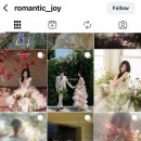 로즈미플라워앤티 | 7. [💐플라워디렉팅] 비교 및 추천 ( 라이크유플라워 /수이 /로맨틱조이 /로즈앤모어 )