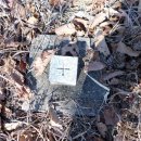 팔조령휴게소 이미지