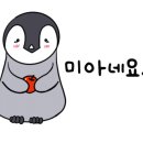 뚜쥬루거북이점 이미지