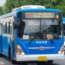 사파동214 이미지