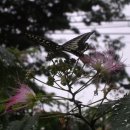 용추산장 이미지