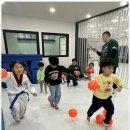 경희대대한태권도장 이미지