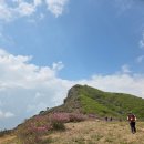 &#34;영남의 아름다운 금강산&#34; 황매산 군립공원 산행 겸 철쭉제 관람 (2025. 5. 11)