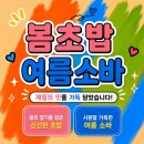 삼육주유소 | 후덥지근한 더위를 날려준 시원한 한 끼 도마동 맛집 봄초밥여름소바 솔직 후기