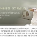 DUCK DUCK GOOSE 이미지