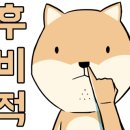 파라다이스 독 이미지