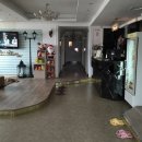 킹스애비뉴노래연습장 이미지