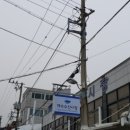 곰배령 벨리 이미지