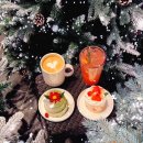 라이브음악세미나 | 부산 정관 대형카페 탄티 연말 분위기 좋은 트리카페 공연시간 대관문의 실시간 후기