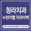 더하얀치과 이미지