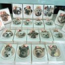 나라라펫 이미지