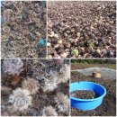 골짜기농장 이미지