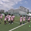 우리 동네에서 찾은 신나는 활력소, 시흥풋볼 경험 후기