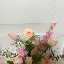 꼬모플레리
