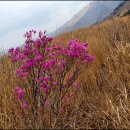 고대1108 이미지