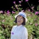 봉평메밀나라 이미지