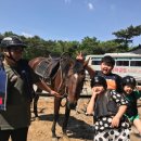 지현초교 이미지