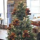 상록수로 44 | 본오동 맛집 쭈꾸미 우쭈쭈 상록수점 불맛 직화 고르곤졸라 피자 세트 후기