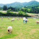 축산농장 이미지