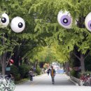 위례성대로 이미지