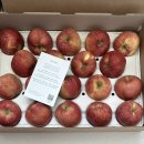 글맥입시학원 이미지