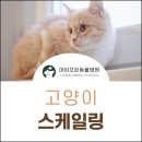 아이조은동물병원 이미지