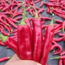 스마트농원 이미지