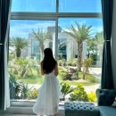 에다모니아 이미지