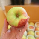 와룡농원 이미지