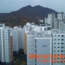 대림단지내공인중개사사무소 이미지