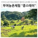 부여목장 | 아이와 함께 자연 속 하루 힐링! 콩스테이 &#34;부여농촌체험&#34; 프로그램 후기