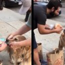 댕댕이버스 이미지