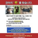 세광약국 이미지