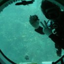 중문통나무휴양펜션 이미지