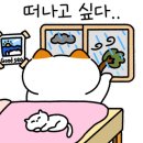 바다힐링1 이미지