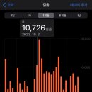 이집트 여행DAY1(카이로국제공항에서 버스타고 시내가기, 이집트지하철, 카이로버스터미널,시와행 버스...