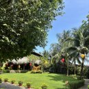 피오르 숲 빌리지 2 | [푸꾸옥] M 빌리지 푸꾸옥 내돈내산 솔직후기 숨겨진 수영장 2개 위치공유 룸서비스 조식 후기