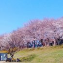 우삼국 이미지