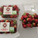 다은농장 이미지