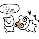 다이소증평점 이미지
