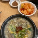 사평대로55길 104 | 2025년 6월 도비의 점심 식판🍽️